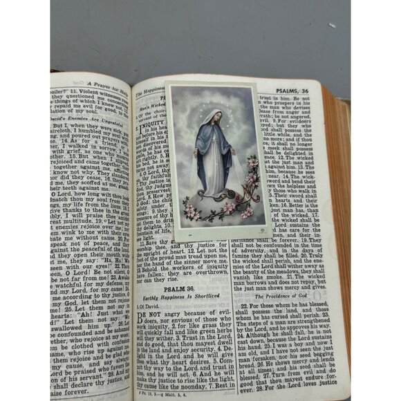 Holy Bible Catholic Edition Red Letter Illustrations published 1948-1950 READ - Picture 11 of 16